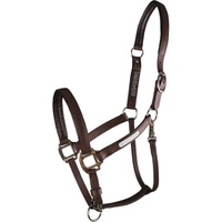 New Stellar Headcollar